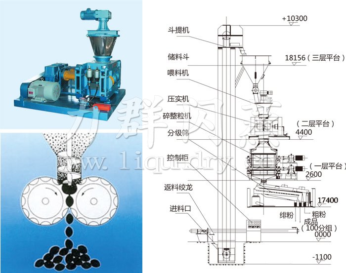 幹法輥(gǔn)壓造粒機結構示意圖 幹法輥壓造粒機結構(gòu)示意圖
